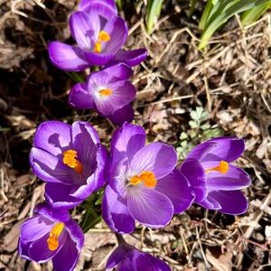 Meet your Posher, Tracy